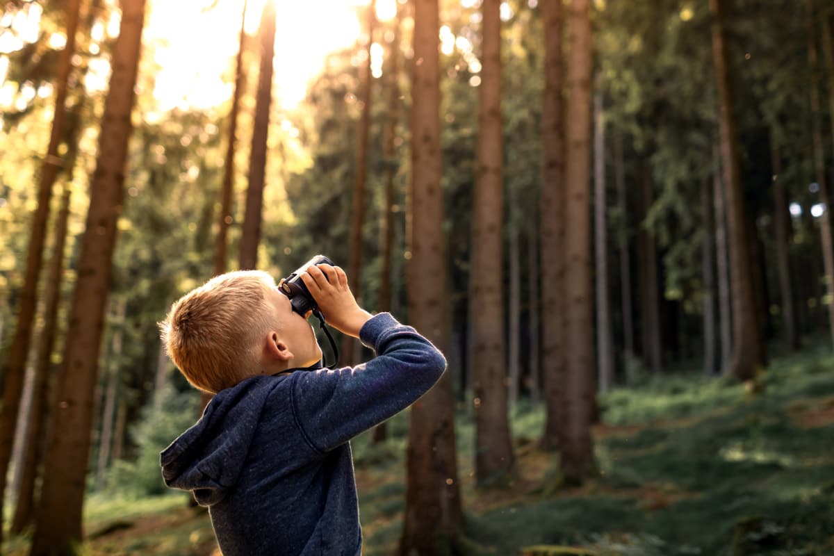 A young boy using binoculars in a forest.